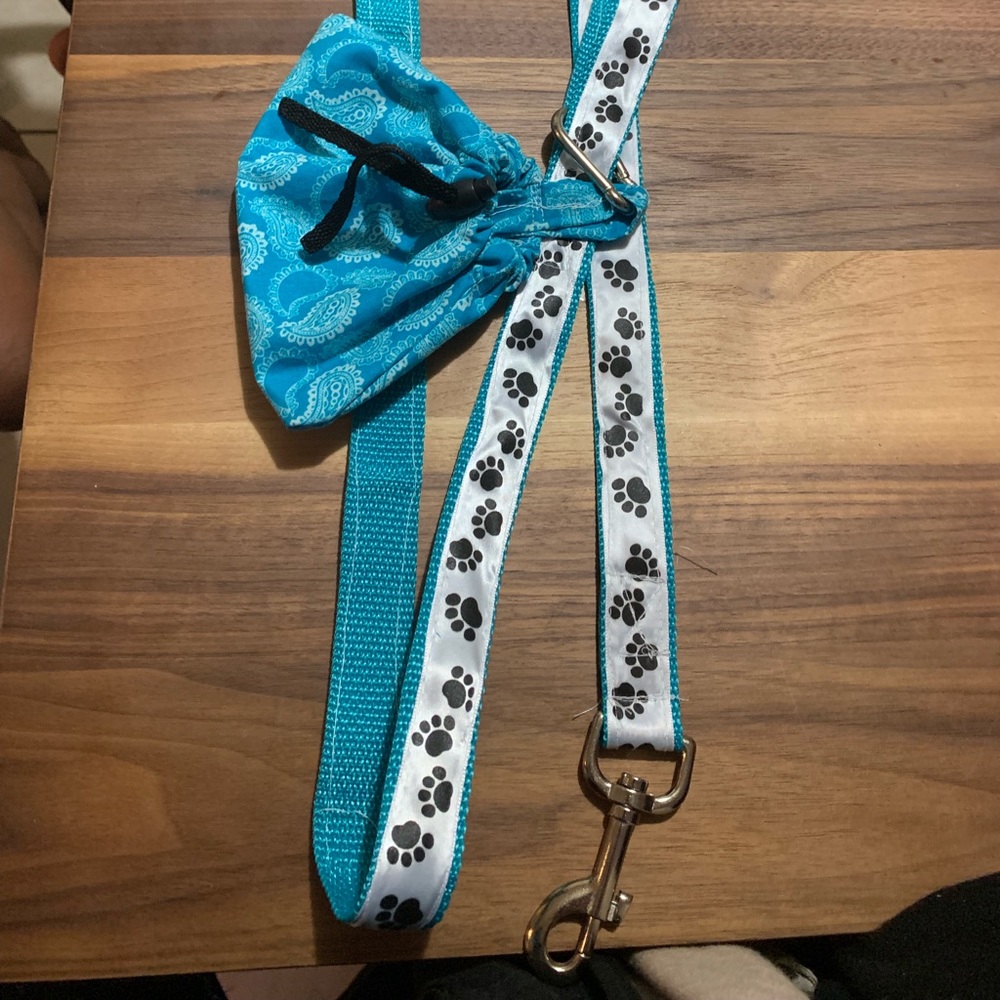 Dog leash treat bag and handkerchief